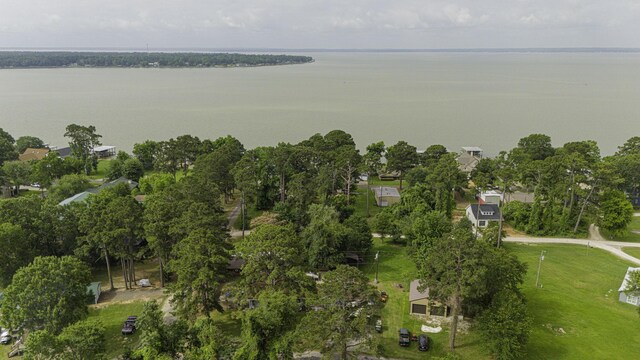 1239 Indian Hill Blvd, Livingston, TX 77351 - aerial view of property's location featuring a large body of water