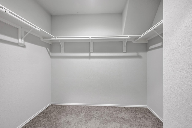 4354 Tulip Oak Dr, Houston, TX 77068 - walk in closet featuring carpet flooring