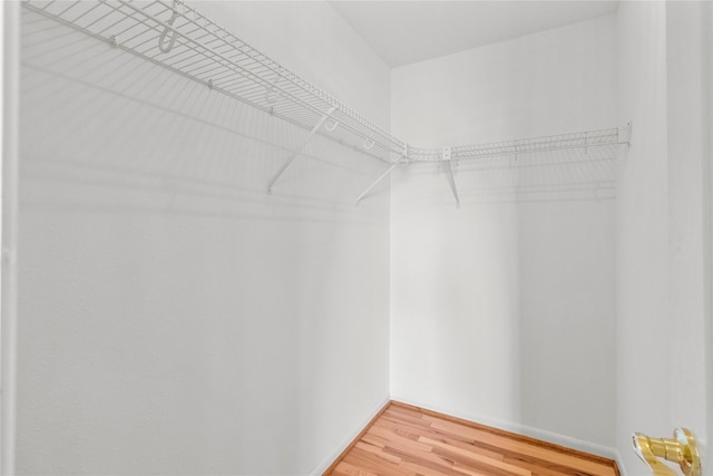 1022 Darcy St, Galveston, TX 77554 - walk in closet with light wood-type flooring