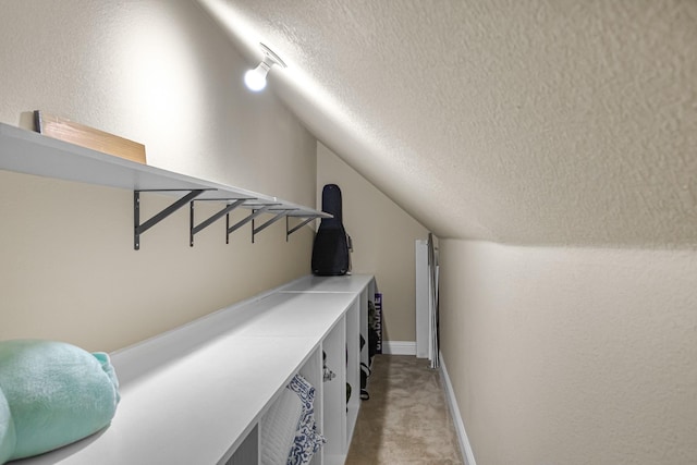26010 Pagemill Ln, Richmond, TX 77406 - walk in closet featuring light carpet and lofted ceiling