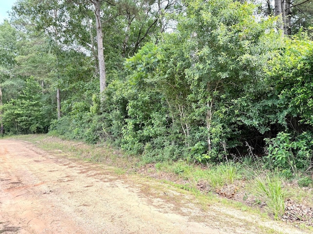 0 Twin Oaks Dr, Coldspring, TX 77331 - photo 2