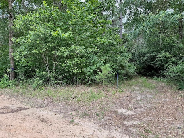 0 Twin Oaks Dr, Coldspring, TX 77331 - photo 3
