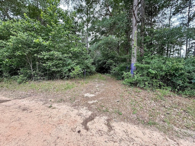 0 Twin Oaks Dr, Coldspring, TX 77331 - photo 6