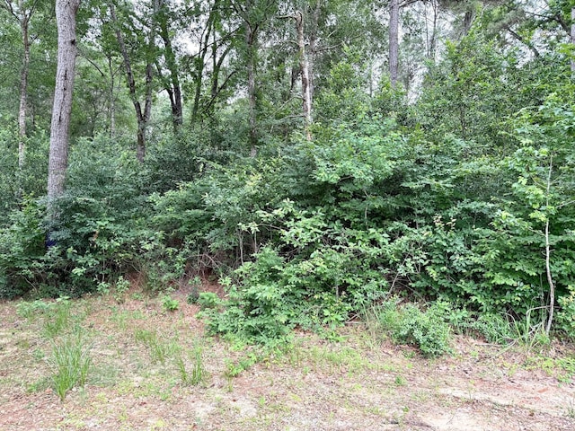 0 Twin Oaks Dr, Coldspring, TX 77331 - photo 7
