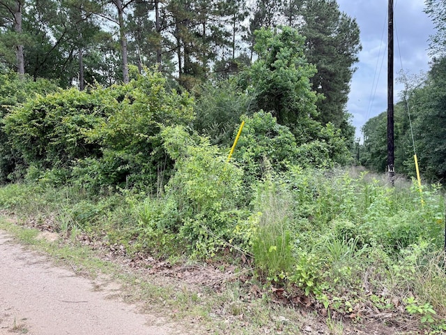 0 Twin Oaks Dr, Coldspring, TX 77331 - photo 8