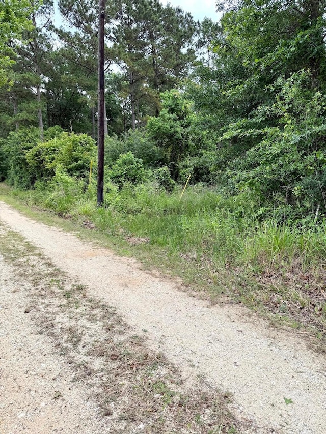 0 Twin Oaks Dr, Coldspring, TX 77331 - photo 10