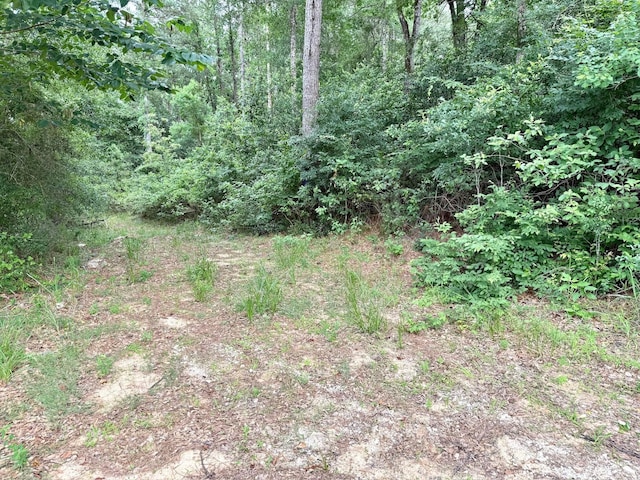 0 Twin Oaks Dr, Coldspring, TX 77331 - photo 15