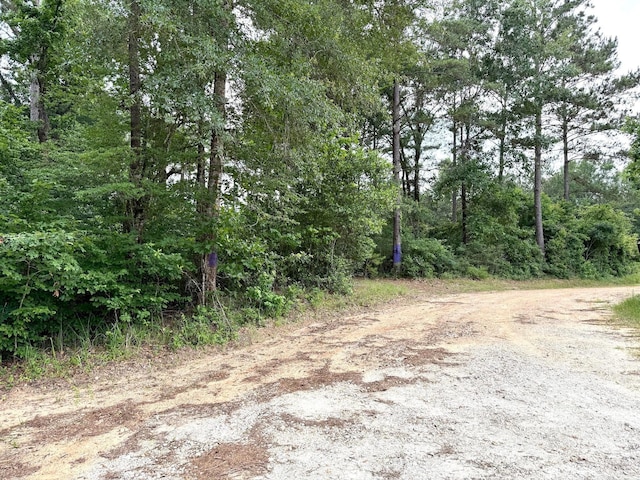 0 Twin Oaks Dr, Coldspring, TX 77331 - photo 14