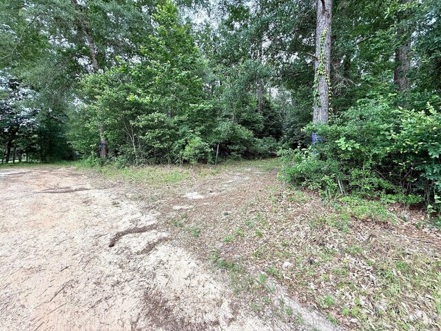 0 Twin Oaks Dr, Coldspring, TX 77331 - photo 13