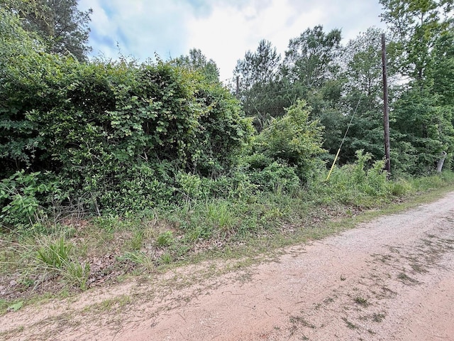 0 Twin Oaks Dr, Coldspring, TX 77331 - photo 12
