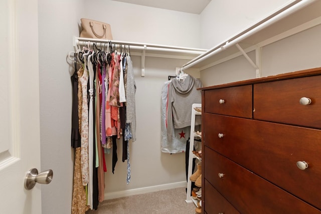 4423 Olive Field Ct, Richmond, TX 77469 - walk in closet with carpet floors