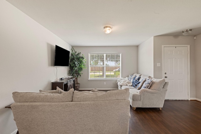 4423 Olive Field Ct, Richmond, TX 77469 - living room with dark wood-style flooring and baseboards