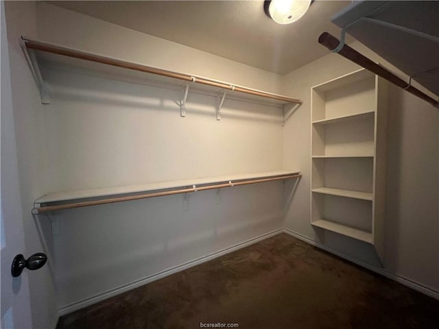 1027 Emerald Dove Ave, College Station, TX 77845 - walk in closet featuring dark colored carpet