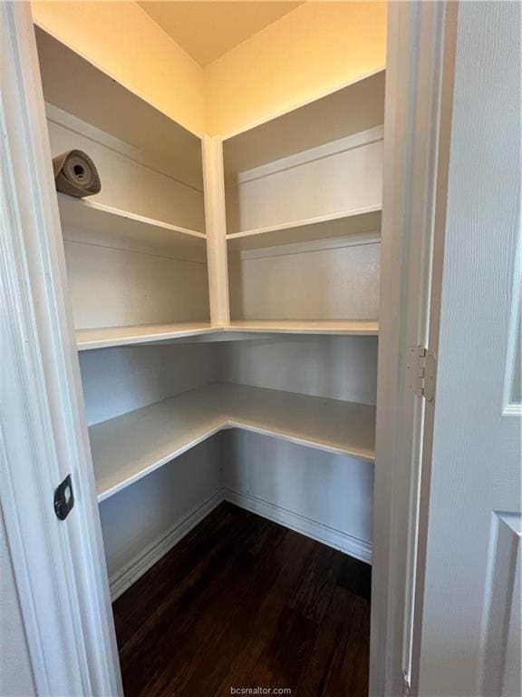 1027 Emerald Dove Ave, College Station, TX 77845 - view of storage area
