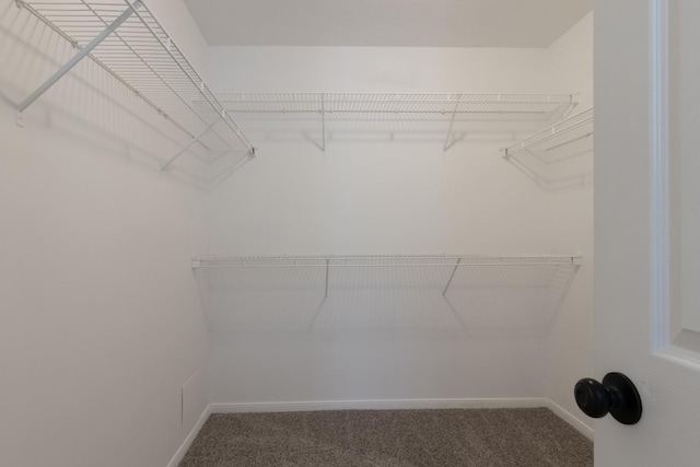 5903 Bonners Park Ct, Katy, TX 77449 - walk in closet featuring carpet