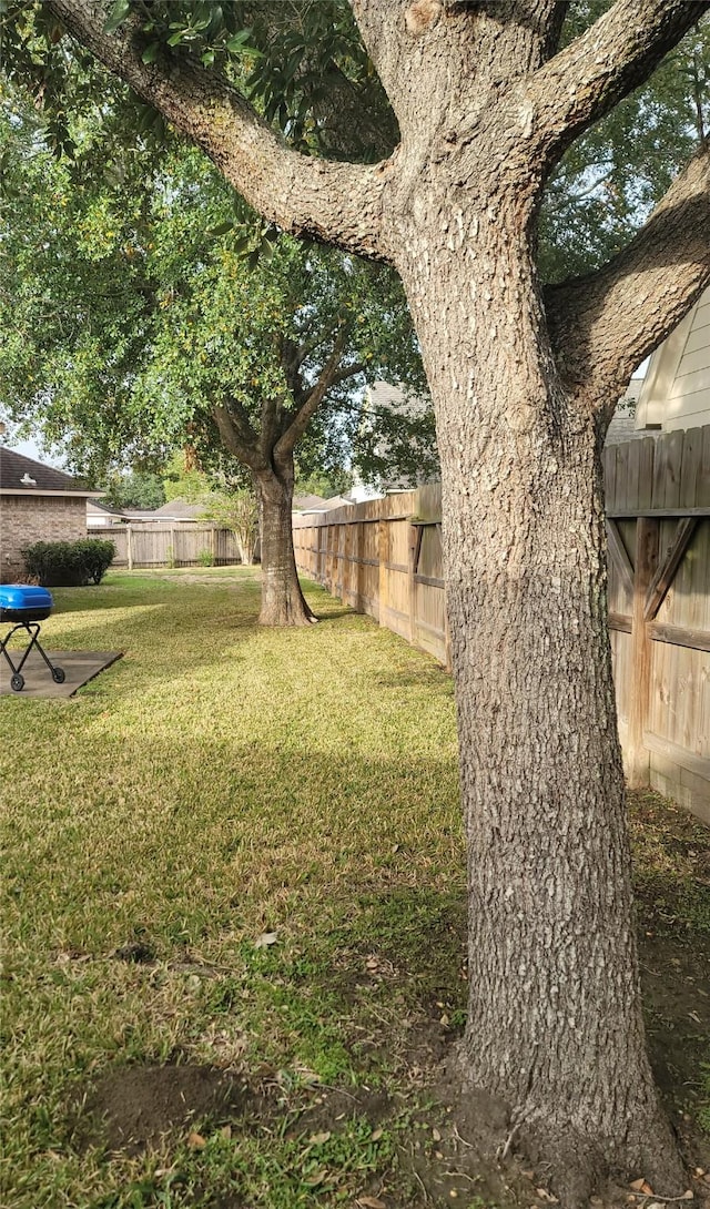 3501 Carson Ct, Pearland, TX 77584 - view of yard