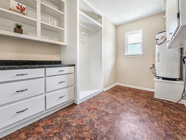 723 Pas Trl, Houston, TX 77336 - walk in closet with gas water heater