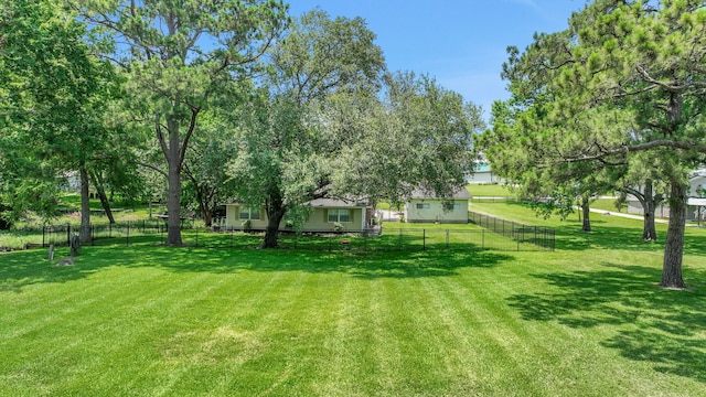 151 Lakeview Cir, Coldspring, TX 77331 - view of yard