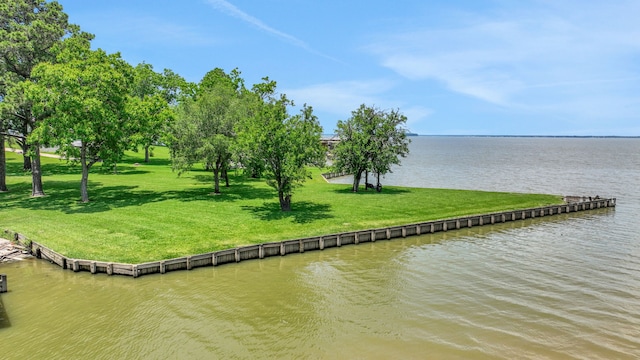 151 Lakeview Cir, Coldspring, TX 77331 - water view