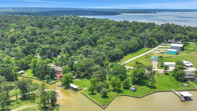151 Lakeview Cir, Coldspring, TX 77331 - drone / aerial view of a nearby body of water and a forest