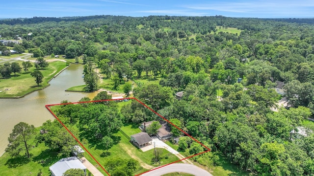 151 Lakeview Cir, Coldspring, TX 77331 - aerial view of property's location with a large body of water, property boundaries highlighted, and a heavily wooded area
