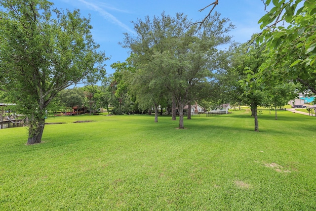 151 Lakeview Cir, Coldspring, TX 77331 - view of green lawn