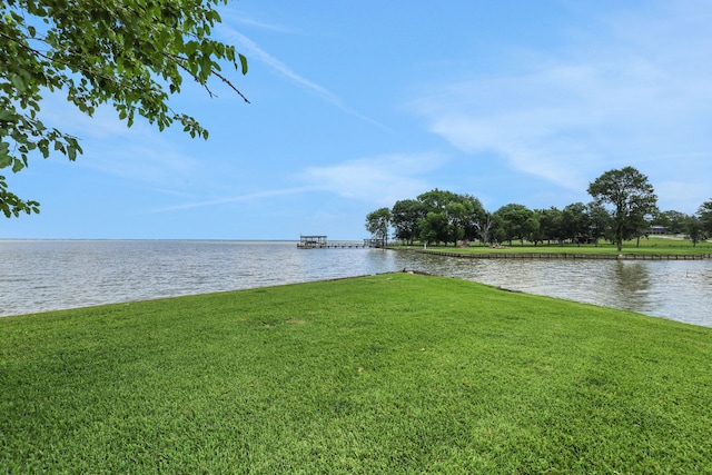 151 Lakeview Cir, Coldspring, TX 77331 - water view