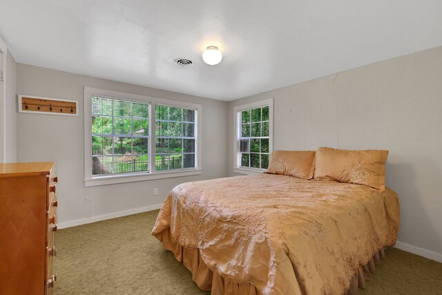 151 Lakeview Cir, Coldspring, TX 77331 - carpeted bedroom with baseboards