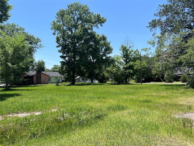 404 E Hanson St, Cleveland, TX 77327 - photo 16