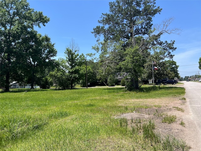 404 E Hanson St, Cleveland, TX 77327 - photo 17