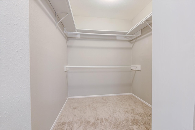 2311 Pepperweed Dr, Houston, TX 77084 - spacious closet with carpet flooring