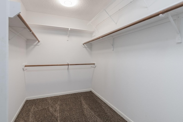 10107 Sands Trail Ct, Houston, TX 77064 - walk in closet with dark carpet