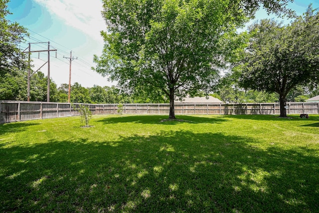 57 Cloverdale Ct, Montgomery, TX 77356 - view of yard