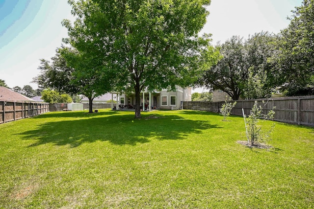 57 Cloverdale Ct, Montgomery, TX 77356 - view of yard