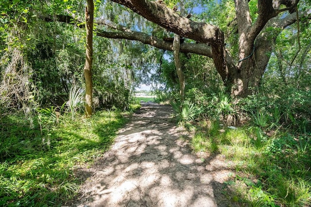 440 Magnolia Blossom, League City, TX 77573 - photo 31