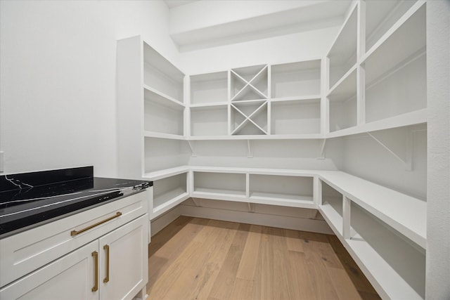 1112 Kinley Ln, Houston, TX 77018 - view of storage area