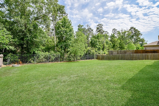1704 Graystone Hills Dr, Conroe, TX 77304 - view of yard