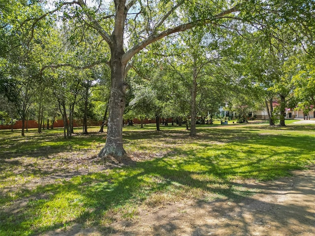 6121 County Road 225, Hungerford, TX 77448 - view of grassy yard