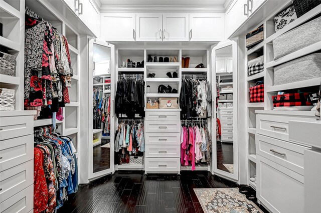 6121 County Road 225, Hungerford, TX 77448 - walk in closet featuring dark wood-style floors