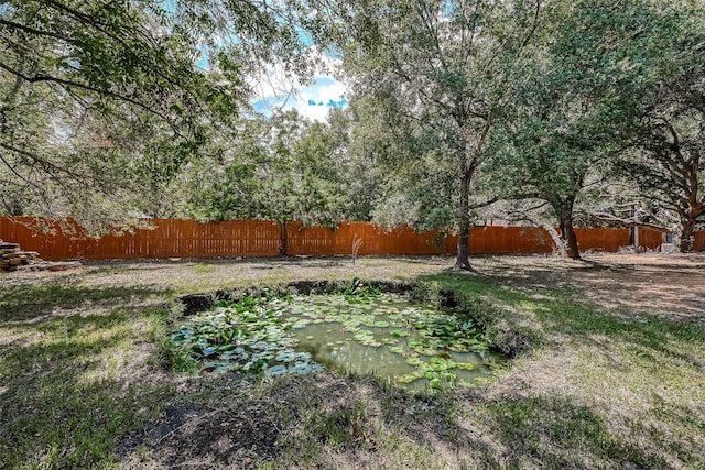 6121 County Road 225, Hungerford, TX 77448 - view of yard with a garden pond