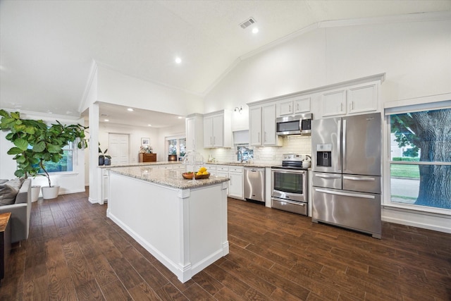 2227 Holly Knoll St, Houston, TX 77077 - kitchen with appliances with stainless steel finishes, crown molding, lofted ceiling, light stone countertops, and a center island