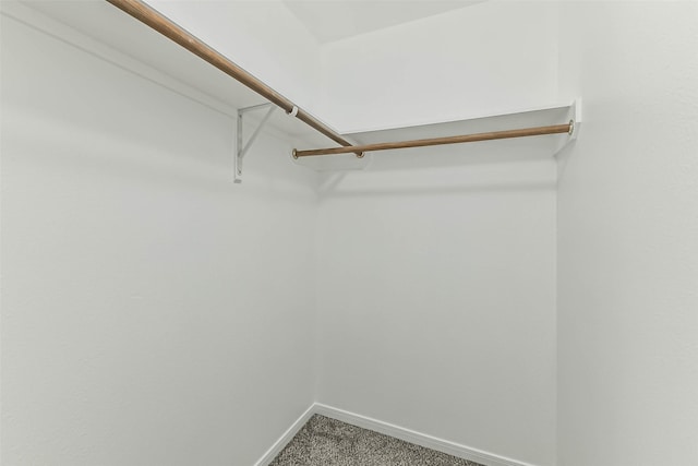 15503 Hickory Dale St, Cypress, TX 77429 - spacious closet with carpet
