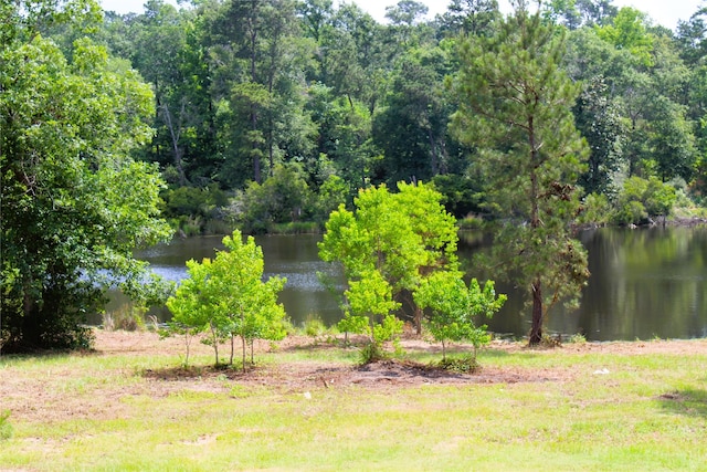 11755 Oakwood Ranch Dr, Willis, TX 77378 - water view featuring a heavily wooded area