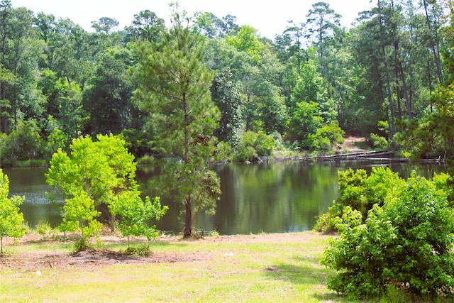 11755 Oakwood Ranch Dr, Willis, TX 77378 - water view featuring a heavily wooded area