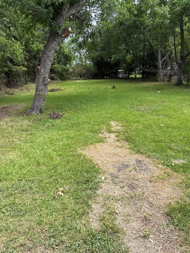 5159 Dumore Dr, Houston, TX 77048 - view of green lawn