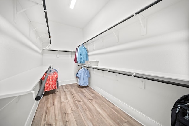 2310 Desert Holly Dr, Katy, TX 77493 - spacious closet with light wood-style flooring