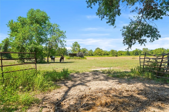 855 County Road 15, Damon, TX 77430 - view of yard with a view of countryside