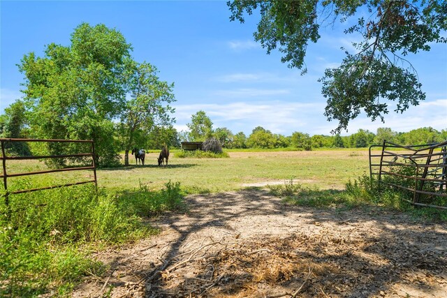 855 County Road 15, Damon, TX 77430 - photo 5
