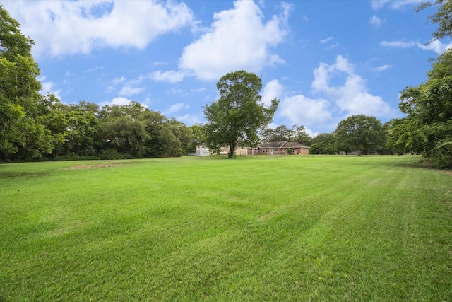 4501 Spears Rd Unit Cr872, Manvel, TX 77578 - photo 47