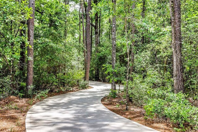 2947 Palominos Way, Conroe, TX 77301 - view of home's community featuring a forest view and driveway